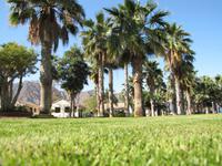 baden an der Ostküste am Golf von Oman