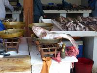 Sharjah - alter Fischmarkt