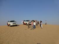 Wüstensafari