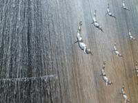 Dubai Mall - Wasserkaskade