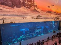 53. Dubai Mall, Aquarium, Dubai