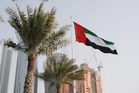 Flagge der Vereinigten Arabischen Emirate