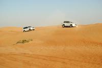 Wüstensafari
