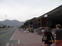 Auf dem Weg nach Fujairah (Stopp am Freitagsmarkt)