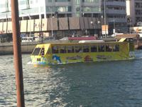 Wanderbus auf dem Creek