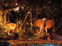 neues Dubai - Aquarium