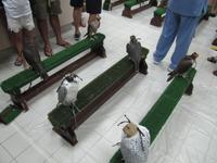 Abu Dhabi - Falkenklinik