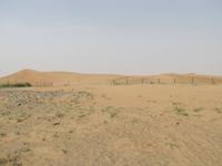 Al Ain - Kamelrennstrecke