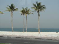 Sharjah - Stadtrundfahrt