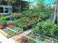 Ostküste der Emirate