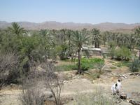 Ostküste der Emirate