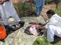 Ostküste der Emirate - Pakistanis beim kochen