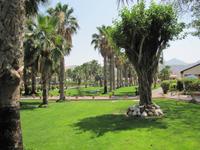 Ostküste der Emirate - Badeaufenthalt