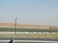 Ostküste der Emirate - Oase