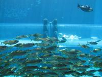 Atlantis Hotel - Wasserpark