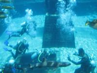 Atlantis Hotel - Wasserpark