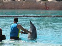 Atlantis Hotel - Wasserpark