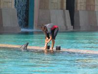 Atlantis Hotel - Wasserpark