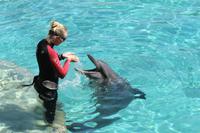 Jacob Spangenberg beim Delphinschwimmen in Dubai