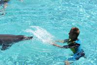 Jacob Spangenberg beim Delphinschwimmen in Dubai