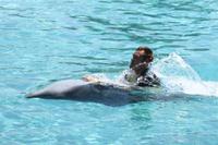 Jacob Spangenberg beim Delphinschwimmen in Dubai