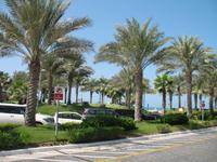 Atlantis The Palm Dubai Hotel & Resort