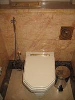 Emirates Palace Hotel in Abu Dhabi