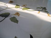 Sheikh Zayed Mosque in Abu Dhabi