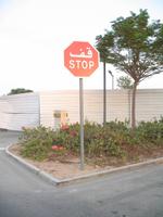 Sheikh Zayed Mosque in Abu Dhabi