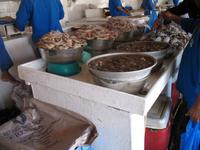 Fish Souk in Sharjah