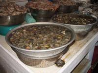 Fish Souk in Sharjah