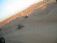 Wüstensafari Dubai