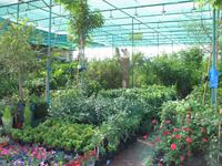 Fahrt an die Ostküste über das Hajar Gebirge nach Fujairah