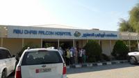 Abu Dhabi: Falkenklinik