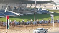 Dubai: an der Kamelrennbahn