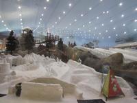 Blick in die Skihalle der Mall of Emirates