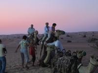 Kamelreiten am Wüstencamp