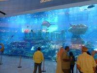 Aquarium in der Dubai Mall