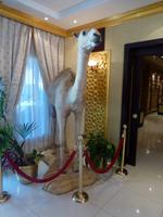 Falkenklinik Dr. Müller Abu Dhabi