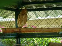 Falkenklinik Dr. Müller Abu Dhabi