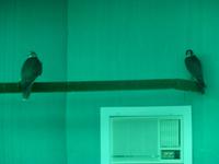 Falkenklinik Dr. Müller Abu Dhabi