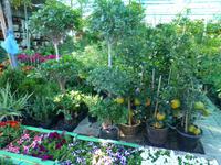 Marktbesuch auf dem Weg zur Ostküste