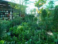 Marktbesuch auf dem Weg zur Ostküste