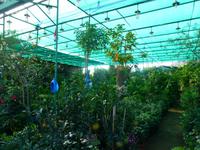 Marktbesuch auf dem Weg zur Ostküste