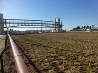 an der Kamelrennstrecke