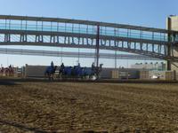 an der Kamelrennstrecke