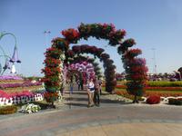 Miracle Garden Dubai