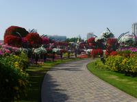 Miracle Garden Dubai