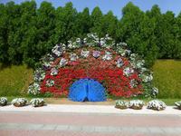 Miracle Garden Dubai