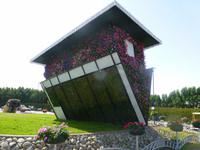 Miracle Garden Dubai